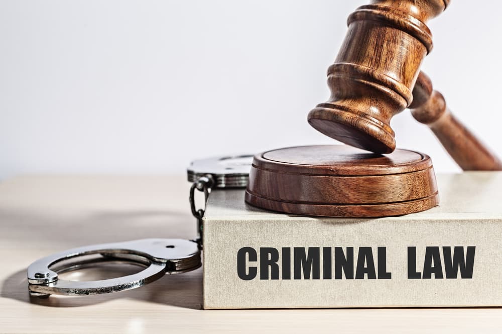 Criminal law establishes the rules for prosecution, defense, trial, and punishment of individuals or entities accused of violating laws.